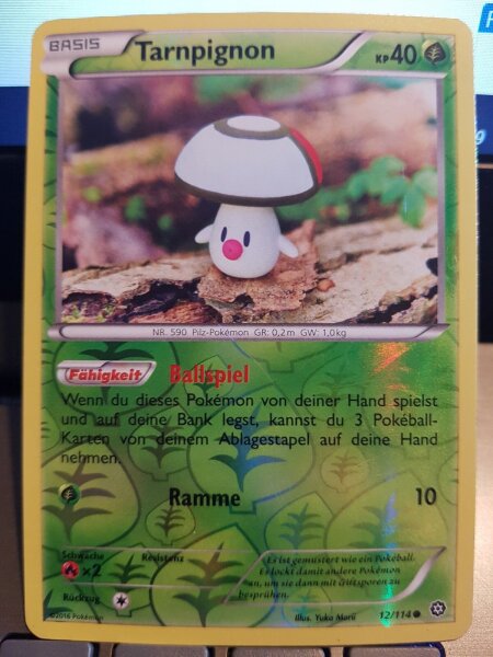 Pokemon Tarnpignon 12/114 Holo Deutsch NM