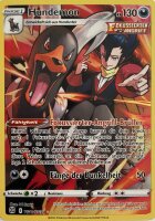 Hundemon TG10/TG30 Strahlende Sterne Holo Rare Pokemon...
